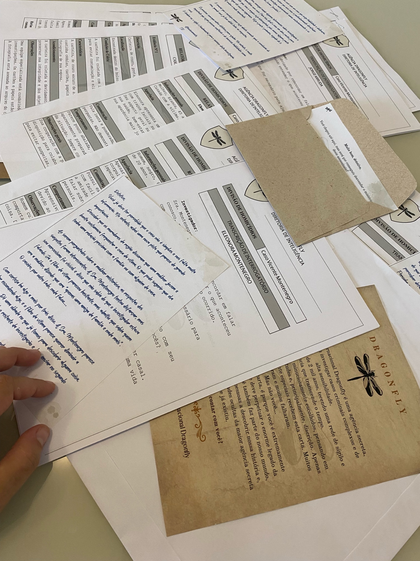 Família Montenegro – Evidências